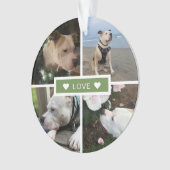 Collage de photos d'animaux modernes (devant)