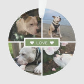 Collage de photos d'animaux modernes (devant)