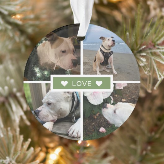 Collage de photos de animaux modernes (Arbre)