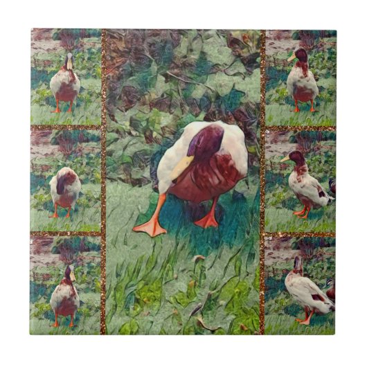 Collage de photos de canard déçu, carreau de céram (Devant)