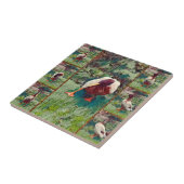 Collage de photos de canard déçu, carreau de céram (Côté)