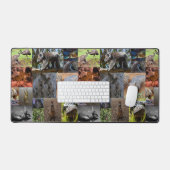 Collage de photos de la faune australienne, Mat de (Clavier et souris)