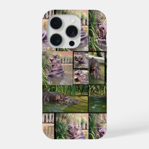 Collage de photos d'hippopotame,