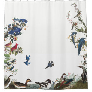 Collage de rideau en douche de faune d'Audubon