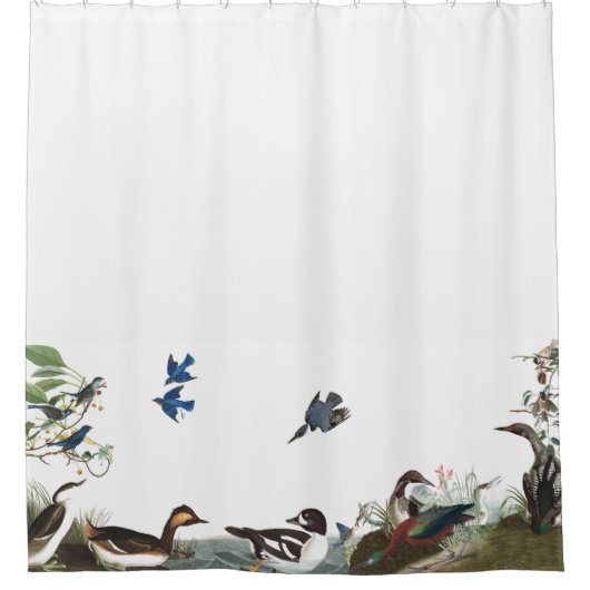 Collage de rideau en douche de faune d'Audubon (Devant)