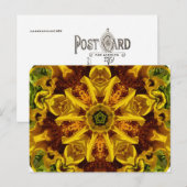 Collage de tournesol - Carte postale (Devant / Derrière)