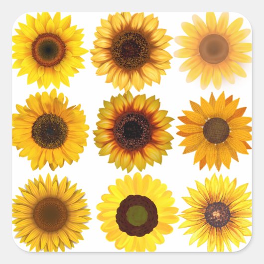 Collage de tournesol Stickers PERSONNALISABLES (Devant)