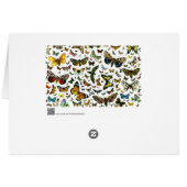 Collage des papillons de nuit et des papillons de (Dos Horizontal)