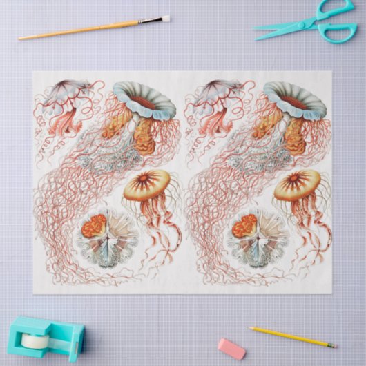  Collage Jellyfish Pattern Ontvlechting Tissuepapier (Craft)