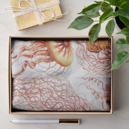  Collage Jellyfish Pattern Ontvlechting Tissuepapier (Geschenk)