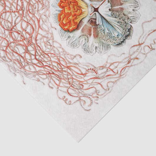 Collage Jellyfish Pattern Ontvlechting Tissuepapier (Detail)