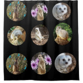 Collage Meerkat, Rideau de douche (Devant)