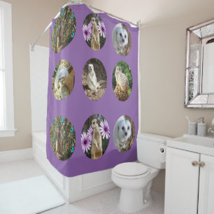 Collage Meerkat Violet, Rideau de douche
