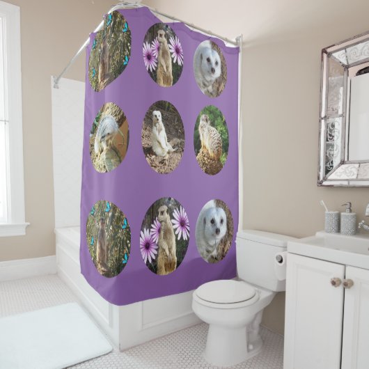 Collage Meerkat Violet, Rideau de douche (En situation)