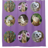 Collage Meerkat Violet, Rideau de douche (Devant)