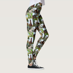 Collage Photo Cheval, Dames Leggings Full Print.