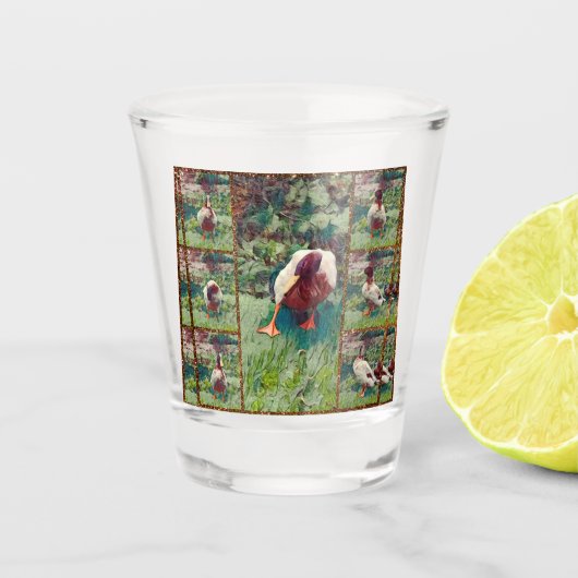 Collage photo de canard, Verre de tir (Devant)