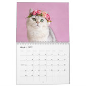 Collage photo de chats Calendrier moderne 2025 (Mar 2027)