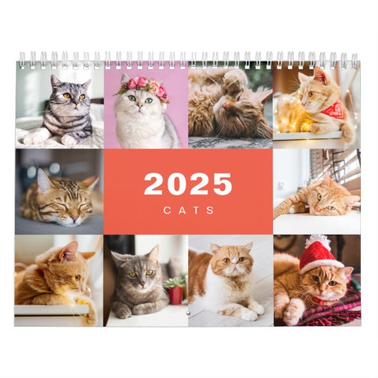 Collage photo de chats Calendrier moderne 2025 (Protection)
