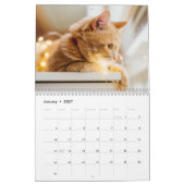 Collage photo de chats Calendrier moderne 2025 (Jan 2027)