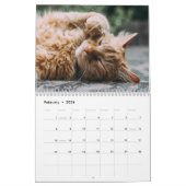 Collage photo de chats Calendrier moderne 2025 (Feb 2026)