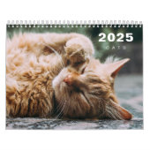 Collage photo de chats Calendrier moderne 2025 (Protection)