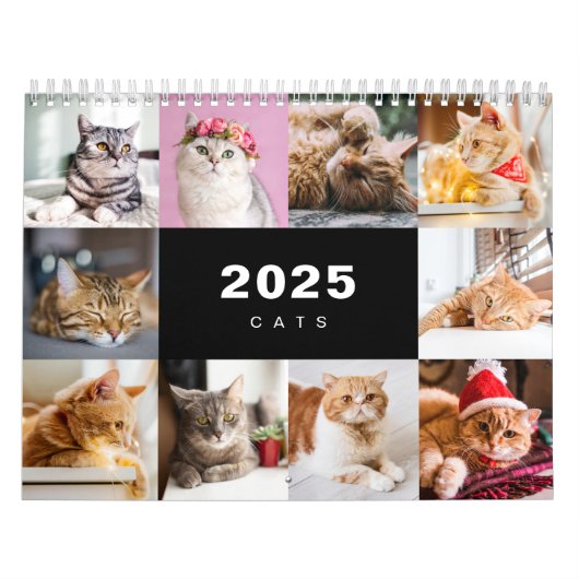 Collage photo de chats Calendrier moderne 2025 (Protection)