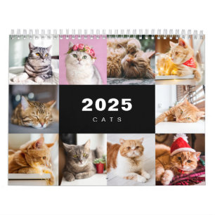 Collage photo de chats Calendrier moderne 2025