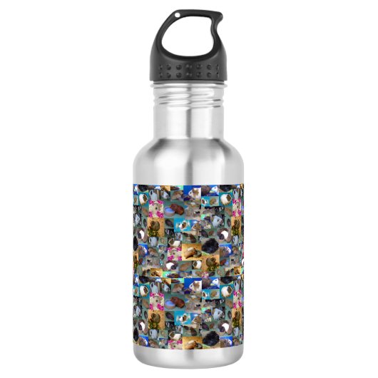 Collage photo de cochon de Guinée, Bouteille d'eau (Devant)