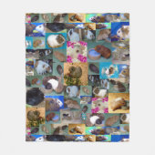 Collage photo de cochon de Guinée, couverture en p (Devant)