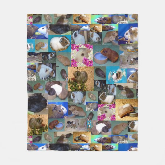 Collage photo de cochon de Guinée, couverture en p (Devant)