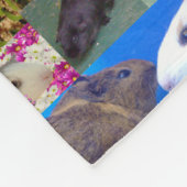 Collage photo de cochon de Guinée, couverture en p (Coin)