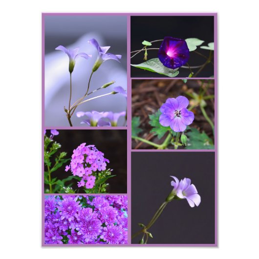 Collage photo de fleurs violettes (Devant)