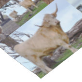 Collage photo de la vache Highland, nappe (Angle)