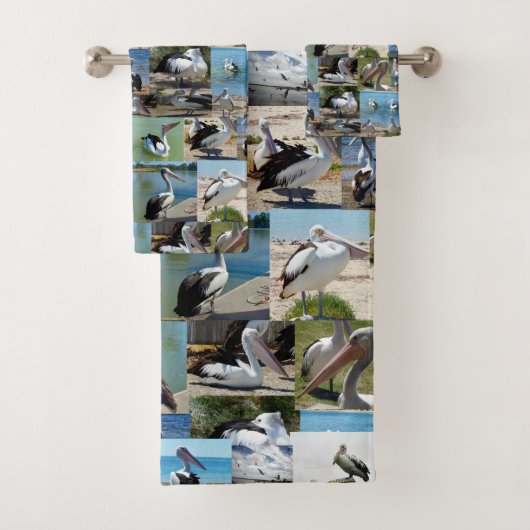 Collage photo de Pélican, (En situation)