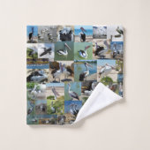 Collage photo de Pélican, (Gant de toilette)