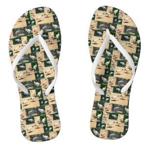 Collage photo de poulets, tongs