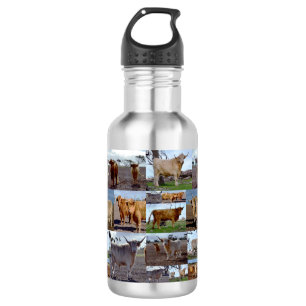 Collage Photo De Vaches Highland, Bouteille D'Eau