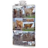 Collage Photo De Vaches Highland, Flacon De Hanche (Gauche)