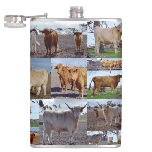 Collage Photo De Vaches Highland, Flacon De Hanche (Ouvert)