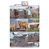 Collage Photo De Vaches Highland, Flacon De Hanche (Devant)