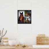 Collage photo du cheval Brown, affiche (Cuisine)