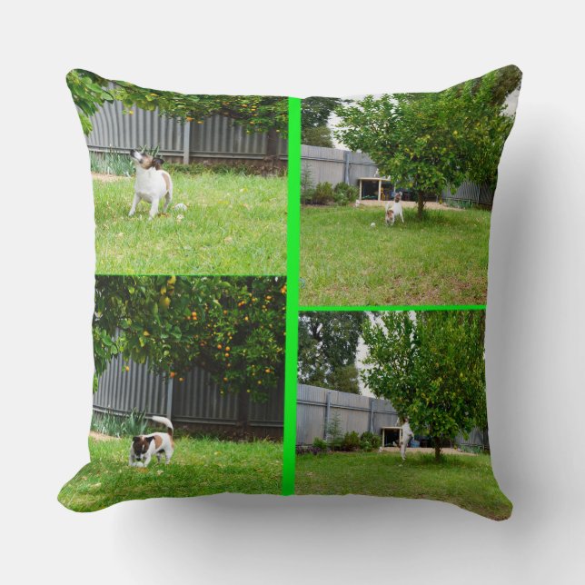 Collage Photo Fox Terrier, Gros Coussin À Throw. (Recto)