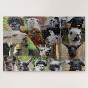 Collage photo Llama laid 16 Photos Puzzle Jigsaw