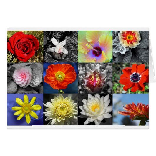 Collage photo Love Flowers (Devant horizontal)