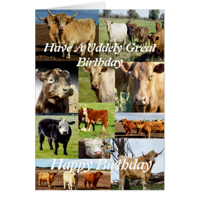 Collage Photo Vache, Personnes Âgées Grand Anniver (Devant)