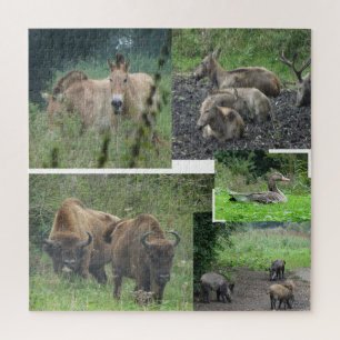 Collage Puzzle: Natuur Park Lelystad ANIMALS Legpuzzel