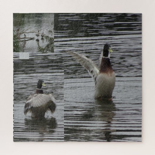 Collage Puzzle: Natuur Park Lelystad DUCK Legpuzzel (Verticaal)