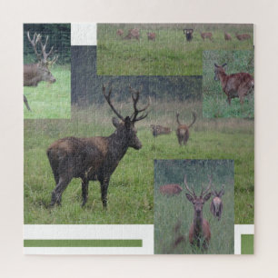 Collage Puzzle: Natuur Park Lelystad RED DEER Legpuzzel