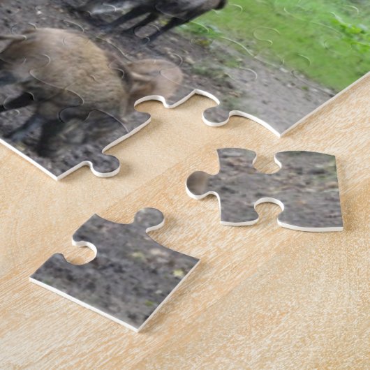 Collage Puzzle : Parc naturel Lelystad ANIMALS (Côté)